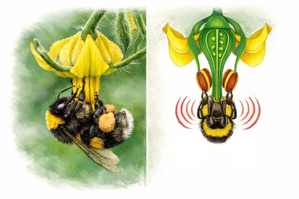 buzzing bumbulbees